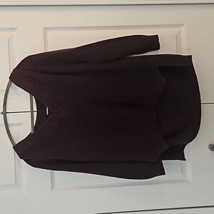 Express maroon sweater
